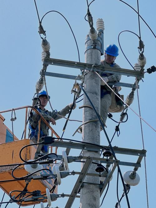 雅砻河生态整治泽航10千伏线路改造工程