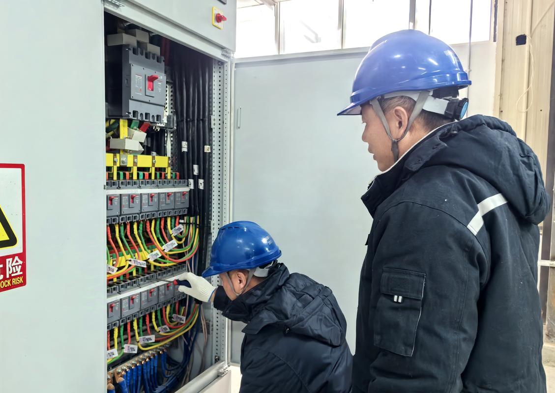 2024年度拉萨市10千伏电网地理接线信息维护